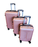 Luggage-Rose-Gold1.jpg