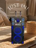 DW2115 BT SPEAKER - Image 2