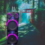 DW2124 BT SPEAKERS - Image 2